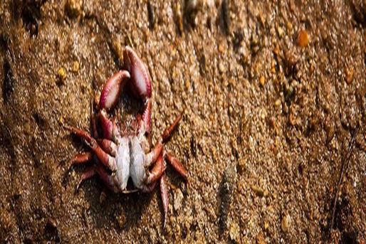 [query-result:espagetitle]